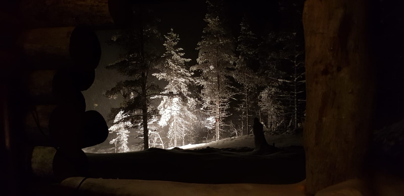 8682f3ce-90f0-4ffa-a849-99798b797766